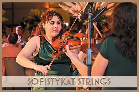 Tropical Nights - SofistyKat Strings